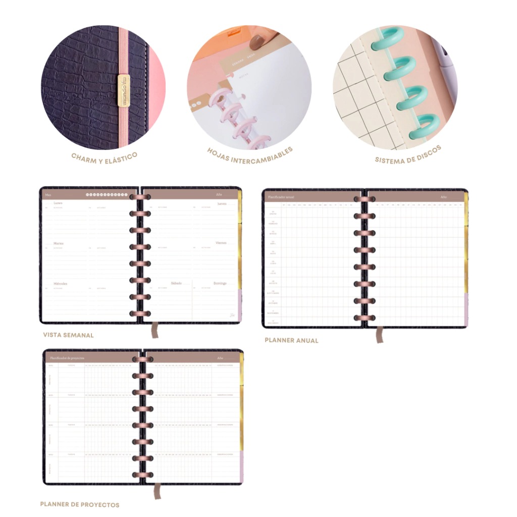 AGENDA FW 2026 A5 SEMANAL JOY PERPETUA DISCOS PACK 3 U. - Imagen 13